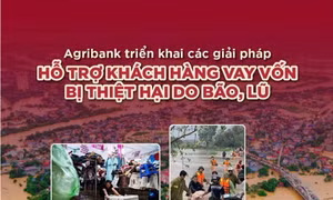 Agribank giảm tới 2%/năm lãi suất cho vay hỗ trợ khách hàng bị ảnh hưởng, thiệt hại do bão, lũ