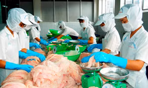 Thực phẩm Sao Việt và phương châm vì sức khỏe người tiêu dùng
