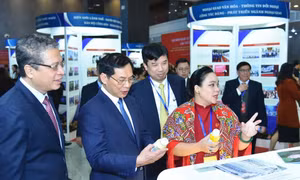 Hơn 40.000 sản phẩm TH phục vụ Hội nghị Ngoại giao lần thứ 32
