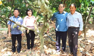 Những trụ cột giúp Đồng Nai xây dựng vững chắc nền nông nghiệp hiện đại