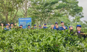 An toàn thực phẩm - nền tảng nâng tầm sản phẩm OCOP Phú Thọ
