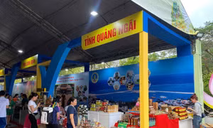 Tỏi Lý Sơn, Quế Trà Bồng (Quảng Ngãi) đến với người tiêu dùng TP Hồ Chí Minh