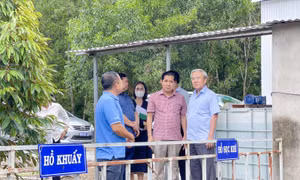 Chăn nuôi phải đảm bảo môi trường