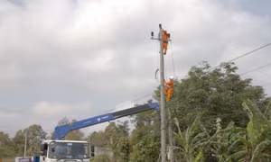 Công ty Điện lực Đắk Nông nâng cao chất lượng lưới điện nông thôn