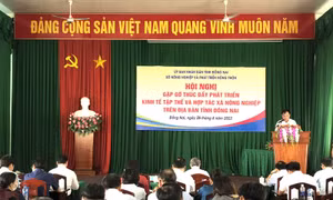 Đồng Nai thúc đẩy phát triển kinh tế tập thể và hợp tác xã nông nghiệp