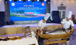 Phú Yên quảng bá, kết nối du lịch các tỉnh miền Đông và Tây Nam Bộ