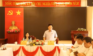 Tổng công ty Điện lực miền Nam: Kiến nghị tháo gỡ vướng mắc về đầu tư lưới điện