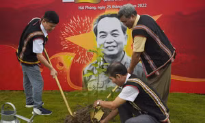 Đem gió đại ngàn hòa cùng tiếng sóng biển…