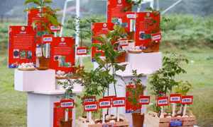 OMO đồng hành cùng thế hệ trẻ trồng mái ấm cho muôn loài 