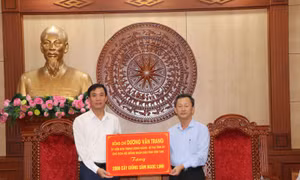Kon Tum: Đưa cây giống Sâm Ngọc Linh trồng thử nghiệm tại Lai Châu