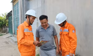 Công ty Điện lực Kon Tum tăng cường các biện pháp bảo vệ hành lang an toàn lưới điện