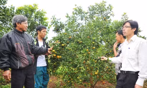 Gia Lai: KBang kỳ vọng lớn vào nhiệm kỳ mới