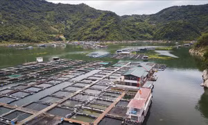 Du lịch kết hợp ngư nghiệp tạo sự phát triển bền vững 