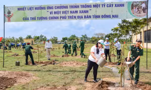 Vedan hưởng ứng chương trình trồng 1 tỷ cây xanh ‘Vì một Việt Nam xanh’