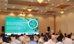 Chuẩn hóa nguồn lực cho giai đoạn nhân rộng quy mô lớn Đề án 1 triệu ha lúa