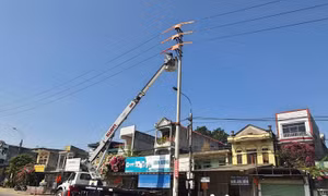 Công ty Điện lực Tuyên Quang ứng dụng công nghệ sửa chữa điện đang mang điện (Hotline) 