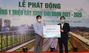 Phát động trồng 1 triệu cây xanh giai đoạn 2021 – 2025