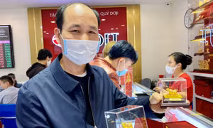 Vía Thần Tài, bạn đã chọn Trâu vàng để cả năm may mắn?