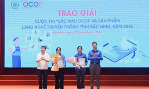 Thanh niên Bắc Ninh lan tỏa các hoạt động sáng tạo, khởi nghiệp 