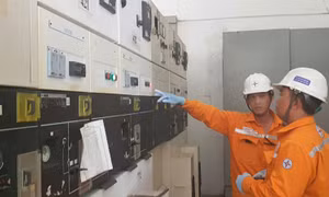 EVNHCMC: Đảm bảo cấp điện cho tuyển sinh đầu cấp và thi tốt nghiệp THPT 