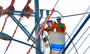 EVNSPC phối hối hợp với các tỉnh phía Nam cùng đồng hành tiết kiệm điện