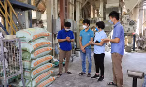 Thanh niên Bắc Ninh sáng tạo khởi nghiệp