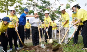 EVNSPC với chương trình trồng 1 tỷ cây xanh và tham gia “Vrace 2021 – Cùng miền Tây vượt hạn mặn”