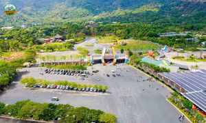 "Kho báu xanh" hiếm có