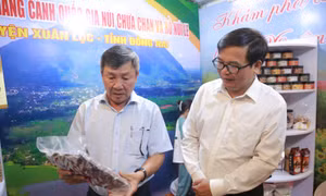 Nâng tầm sản phẩm OCOP để làm tài nguyên xây dựng phát triển du lịch nông thôn