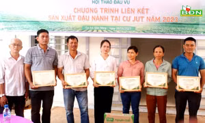 Vinasoy trao giấy chứng nhận thành viên CLB 3 tấn/ha cho nông dân 