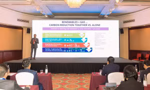 Thúc đẩy chuyển đổi năng lượng xanh và sạch cho Việt Nam