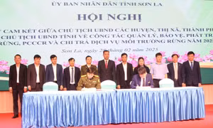 Sơn La đẩy mạnh công tác quản lý, bảo vệ, phát triển rừng và chi trả dịch vụ môi trường rừng 
