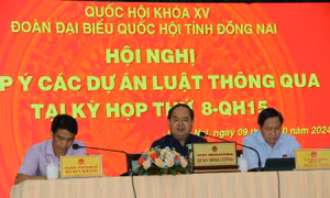 Điện lực miền Nam góp ý Dự thảo Luật Điện lực sửa đổi