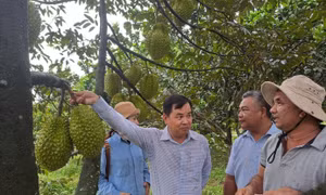 Nhiều mô hình hay trong phát triển hữu cơ ở Đồng Nai