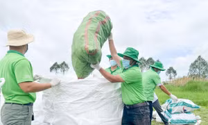 Syngenta Việt Nam: Biến bảo vệ môi trường thành hành động gần gũi