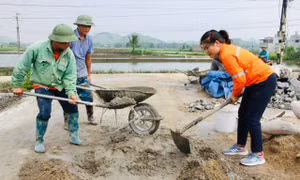 Công ty Núi Pháo ủng hộ huyện Đại Từ 3.000 tấn xi măng thực hiện phong trào 'mở rộng đường xóm 6m'