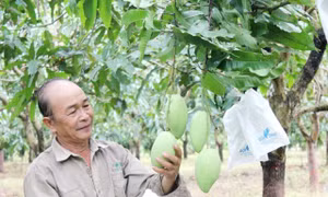 Ấn tượng nông thôn mới kiểu mẫu Xuân Trường