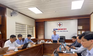 Đảm bảo vận hành an toàn các nhà máy Thủy điện trong mùa mưa 2026