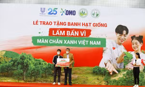 OMO trao tặng 40.000 banh hạt giống cho rừng phòng hộ Việt Nam