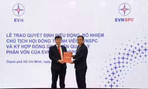 Tổng Công ty Điện lực miền Nam có tân Chủ tịch Hội đồng Thành viên