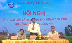 Hỗ trợ nông dân liên kết, hợp tác, phát triển nông nghiệp bền vững