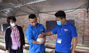 Nhân lên khát vọng làm giàu cho thanh niên