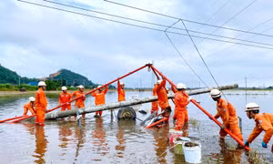 Điện lực Phú Yên đảm bảo an toàn trong mùa mưa bão