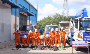Ngành điện TP Hồ Chí Minh diễn tập nâng cao năng lực ứng phó thiên tai và cứu nạn cứu hộ 