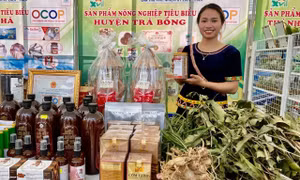 Quảng Ngãi đẩy mạnh hỗ trợ phát triển sản xuất theo chuỗi giá trị ở các huyện miền núi