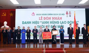 Vượt nhiều khó khăn, đảm bảo nguồn vốn hỗ trợ đối tượng chính sách