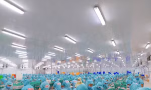 Doanh nghiệp và những giá trị cốt lõi