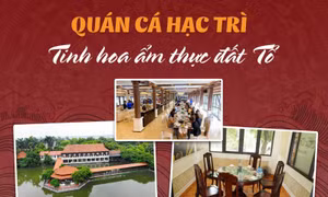Quán cá Hạc Trì – Tinh hoa ẩm thực đất Tổ