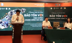 Đồng Nai bảo tồn Voi theo hướng chung sống hài hòa