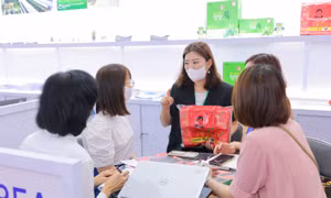 KOTRA Hà Nội tổ chức sự kiện Giao thương trực tiếp với doanh nghiệp thành phố Ulsan, Hàn Quốc